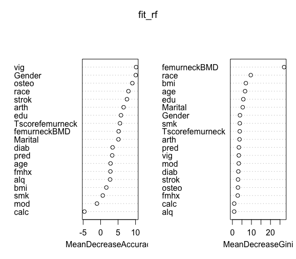 Random Forest Important Features